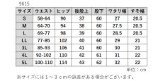 画像6: ★当社オリジナル★　9615　冠婚葬祭で着用できるピュアブラックが美しい！　サマーフォーマルブラックストレートパンツ　丈直し不要　S-5L (6)