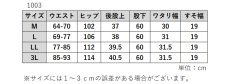 画像16: ★当社オリジナル★　1003　業界初の床ずれ防止、転倒によるケガ防止、腰痛予防の履くマットレス！　幸せラクラク介護パンツフルスペック　M-3L (16)
