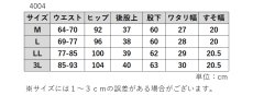 画像10: 4004　シニア世代のための涼やかストレート！　強撚スラブストレッチ　前芯ストレート　M-3L (10)